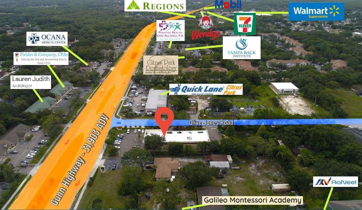 Tire Kingdom in Tampa FL